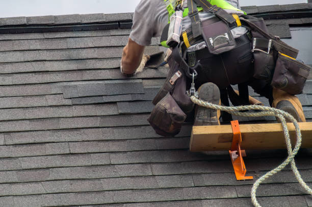 Best Shingle Roofing Installation  in Rush City, MN