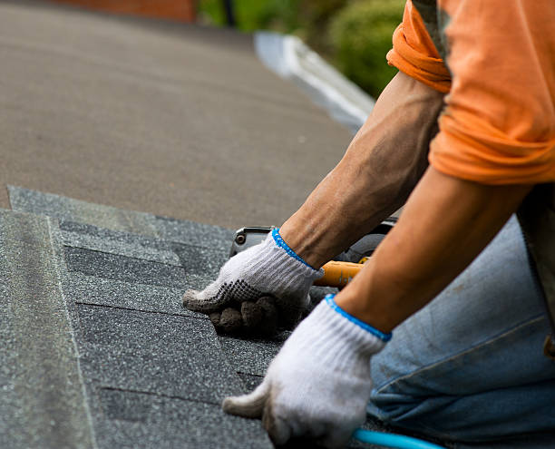 Best Roof Maintenance Services  in Rush City, MN